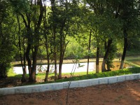 /album/galeria-de-fotos/bosque-iluminado-ao-fundo-tanque-jpg/